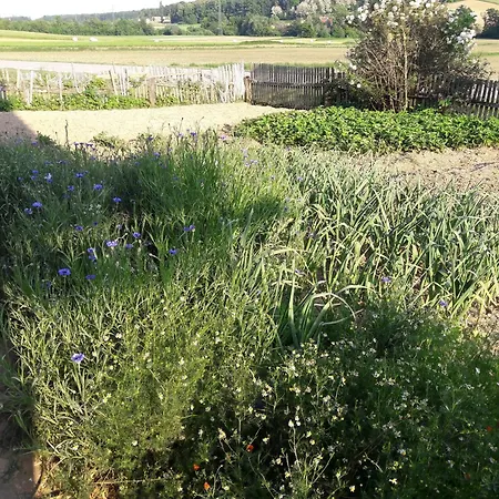 Grafonzeva Domacija *