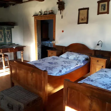 別荘 Grafonzeva Domacija Zgornja Scavnica