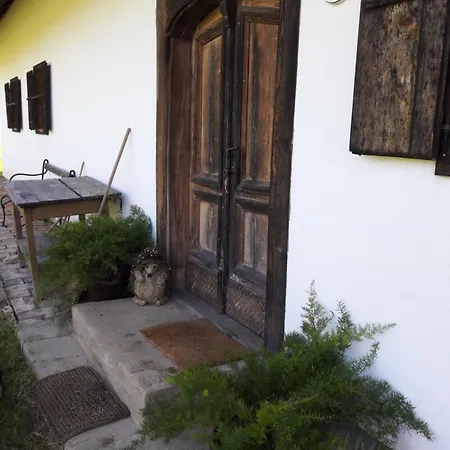 Grafonzeva Domacija * Zgornja Scavnica