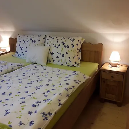 Grafonzeva Domacija Zgornja Scavnica