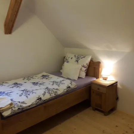 Grafonzeva Domacija Zgornja Scavnica