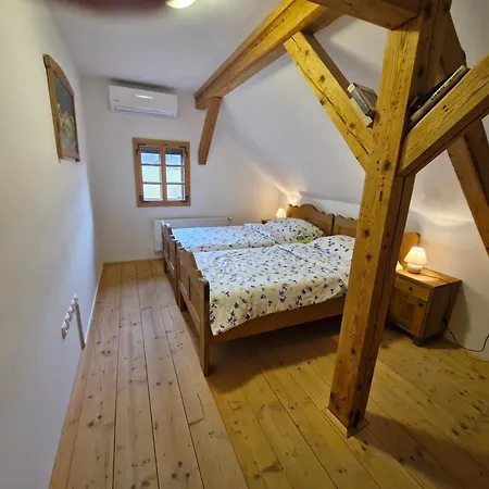 Grafonzeva Domacija Сasa de vacaciones Zgornja Scavnica