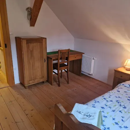 Grafonzeva Domacija 別荘 Zgornja Scavnica