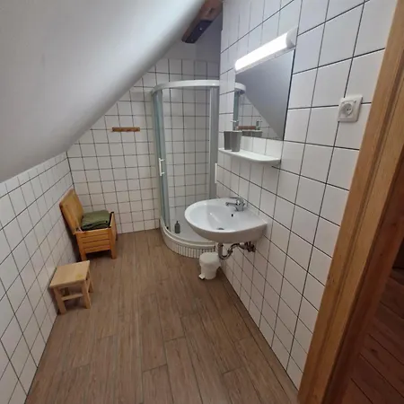 Grafonzeva Domacija 別荘 Zgornja Scavnica