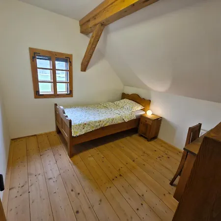 Grafonzeva Domacija Zgornja Scavnica
