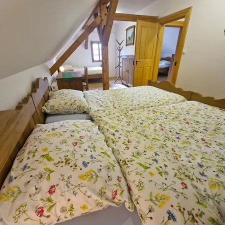 別荘 Grafonzeva Domacija Zgornja Scavnica