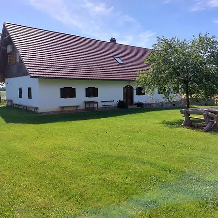 Grafonzeva Domacija Zgornja Scavnica
