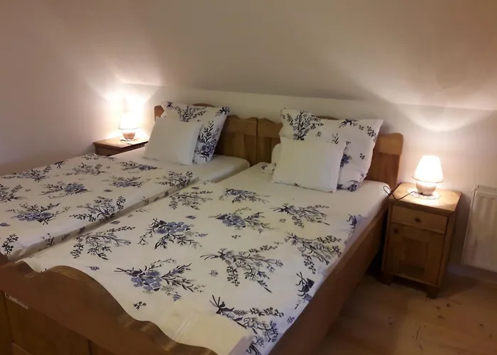 Grafonzeva Domacija بيت للعطل *