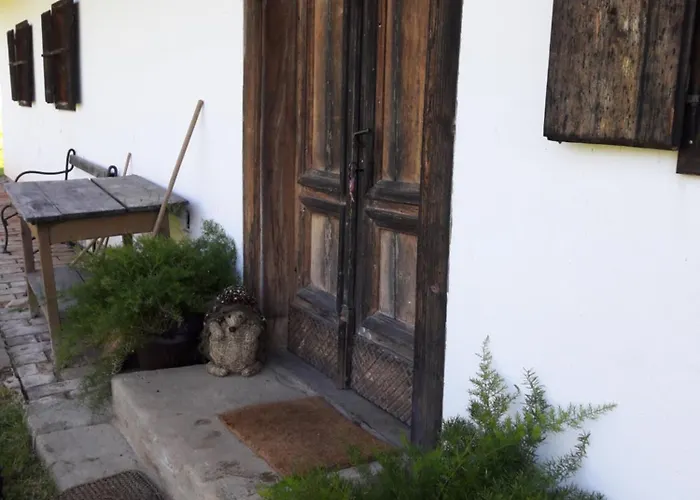 Grafonzeva Domacija * Zgornja Scavnica