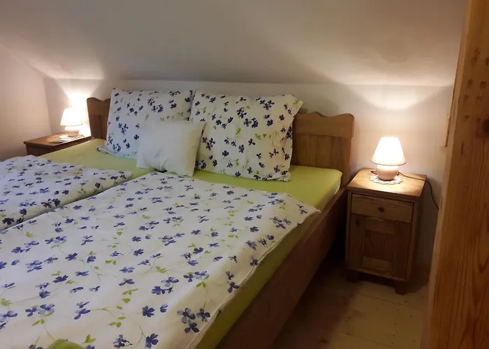 Grafonzeva Domacija Zgornja Scavnica