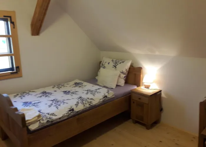 Grafonzeva Domacija Zgornja Scavnica