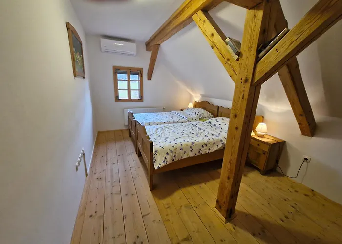 Grafonzeva Domacija بيت للعطل Zgornja Scavnica