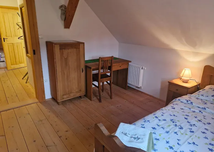 Grafonzeva Domacija بيت للعطل Zgornja Scavnica