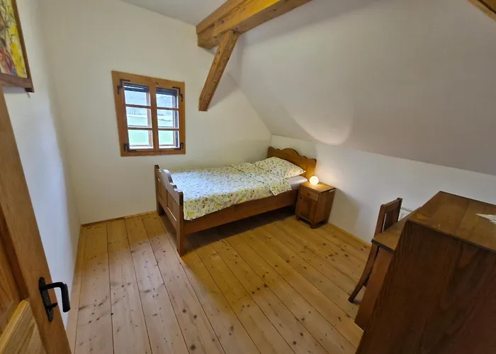 Grafonzeva Domacija Zgornja Scavnica