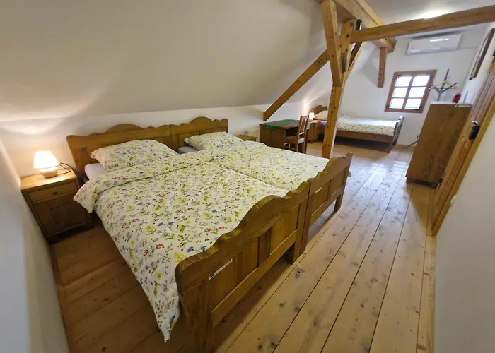 Grafonzeva Domacija *